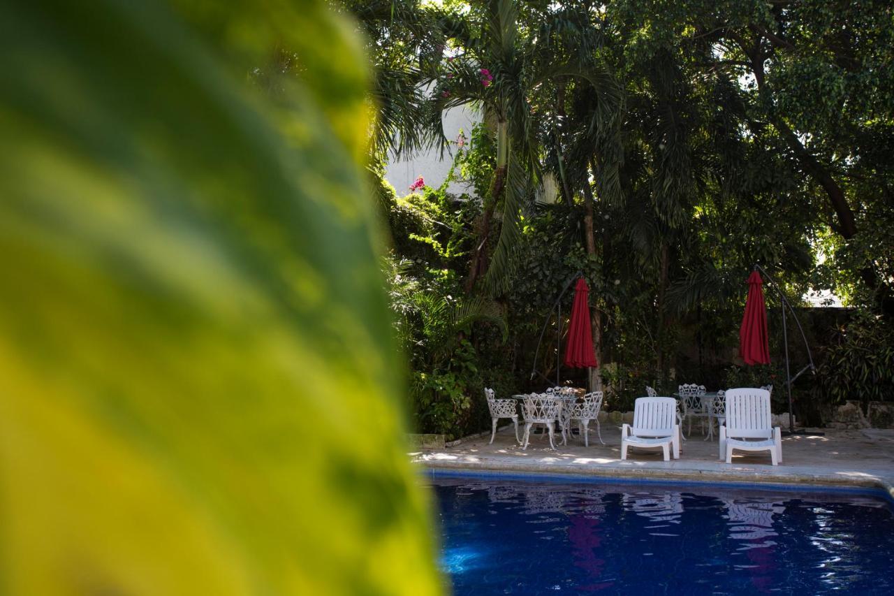 Hotel Xbalamque & Spa Cancun Centro Экстерьер фото